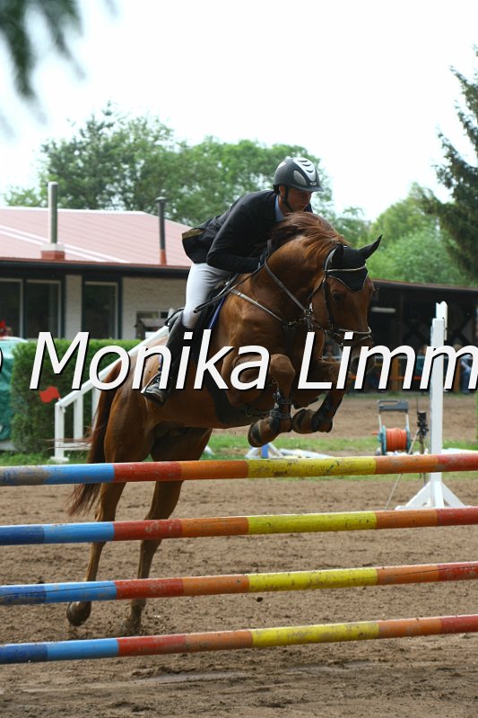 104M4085_Expositor_Spring M.JPG